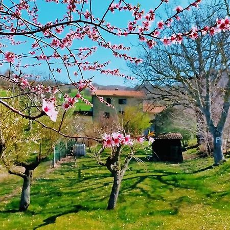 B&B Luna E Stelle Премількуоре Екстер'єр фото
