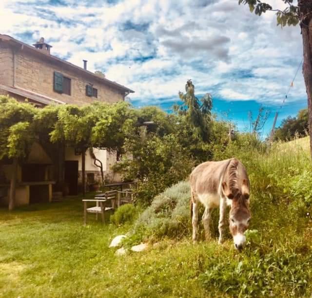 B&B Luna E Stelle Премількуоре Екстер'єр фото